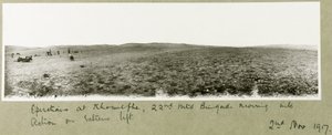 Opérations à Khuwelfeh, 22e brigade montée entrant en action, 2 novembre 1917